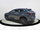 Certified 2023 Lexus NX 250 FWD image 5