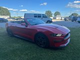 Used 2020 Ford Mustang Premium image 4