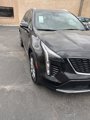 Used 2023 Cadillac XT4 Premium Luxury image 3