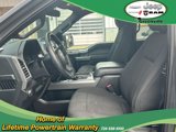 Used 2016 Ford F150 XLT w/ Equipment Group 302A Luxury image 6