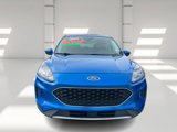 Used 2021 Ford Escape SE image 2