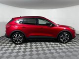 Used 2022 Ford Escape SE w/ SE Sport Appearance Package image 4