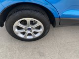 Used 2019 Ford EcoSport SE w/ SE Convenience Package image 4