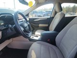 Used 2020 Ford Escape SE image 2