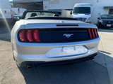 Used 2019 Ford Mustang Premium image 4