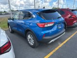 Used 2021 Ford Escape SE w/ Cold Weather Package image 3