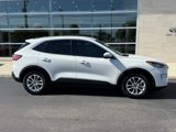 Used 2020 Ford Escape SE image 2