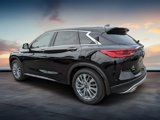 New 2025 INFINITI QX50 Luxe w/ Cargo Package image 5
