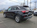 Used 2020 Ford Escape SE image 3