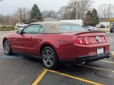 Used 2011 Ford Mustang Premium w/ 201A Rapid Spec Order Code image 5