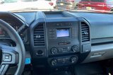 Used 2019 Ford F150 XL w/ Equipment Group 101A Mid image 5