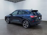 Used 2021 Ford Escape SEL w/ SEL Stealth AWD Package image 3