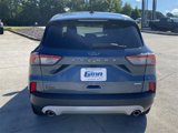 Used 2020 Ford Escape SE image 4