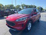 Used 2020 Ford Escape SE image 2