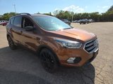Used 2017 Ford Escape SE w/ SE Sport Appearance Package image 6