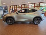 Certified 2024 Lexus NX 350h AWD w/ Premium Package image 6