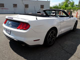 Used 2020 Ford Mustang Premium image 6