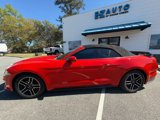 Used 2018 Ford Mustang Premium image 5