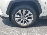 Used 2019 Toyota RAV4 Limited image 5