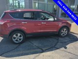Used 2014 Ford Escape SE w/ Equipment Group 201A image 2