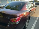 Used 2008 Honda Accord LX-P image 5