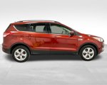 Used 2016 Ford Escape SE w/ SE Leather Comfort Package image 4