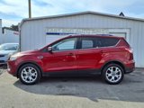 Used 2016 Ford Escape Titanium w/ Equipment Group 301A image 2