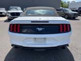 Used 2023 Ford Mustang Premium image 4