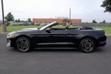 Certified 2022 Ford Mustang Premium image 3