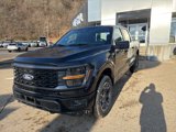 New 2025 Ford F150 STX w/ Equipment Group 200A image 3