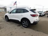 New 2025 Ford Escape ST-Line w/ Tech Pack #1 image 5