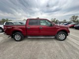 Used 2014 Ford F150 XLT w/ Equipment Group 302A Luxury image 2