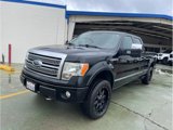 Used 2009 Ford F150 Platinum image 3