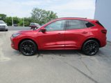 New 2025 Ford Escape ST-Line Elite image 2