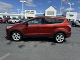 Used 2014 Ford Escape SE image 2