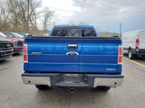 Used 2014 Ford F150 XLT w/ Equipment Group 302A Luxury image 4