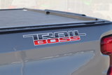Used 2021 Chevrolet Silverado 1500 LT Trail Boss w/ Convenience Package II image 4