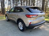 Used 2022 Ford Escape SE image 5