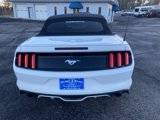 Used 2017 Ford Mustang Premium image 4