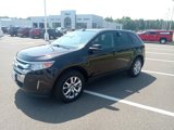Used 2013 Ford Edge SEL image 4