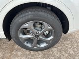 New 2024 Ford Escape ST-Line w/ Tech Pack #1 image 5