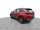 Used 2022 Hyundai Tucson Limited image 6