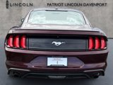 Used 2018 Ford Mustang Premium w/ Safe & Smart Package image 6