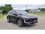 Used 2022 Ford Escape SEL image 3