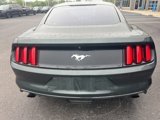 Used 2016 Ford Mustang Coupe image 3