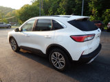 Used 2021 Ford Escape SEL w/ Technology Package image 5