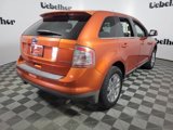 Used 2008 Ford Edge Limited image 5