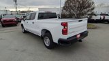 Used 2024 Chevrolet Silverado 1500 W/T w/ WT Value Package image 6