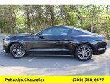 Used 2017 Ford Mustang Coupe image 4