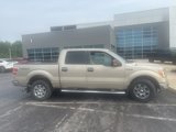 Used 2010 Ford F150 XLT image 4
